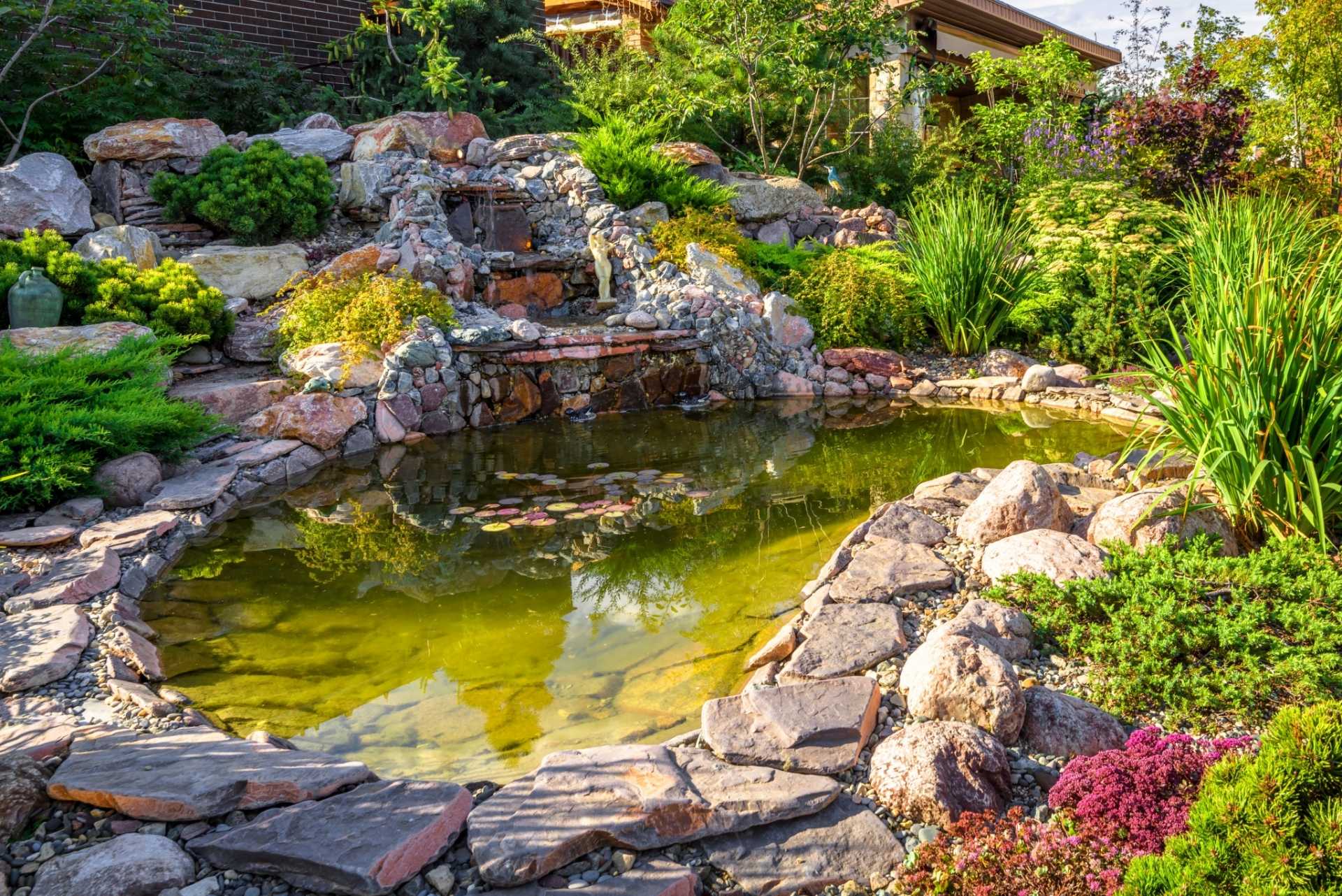 11 Tipps für einen schönen Gartenteich - Haus & Garten Profi