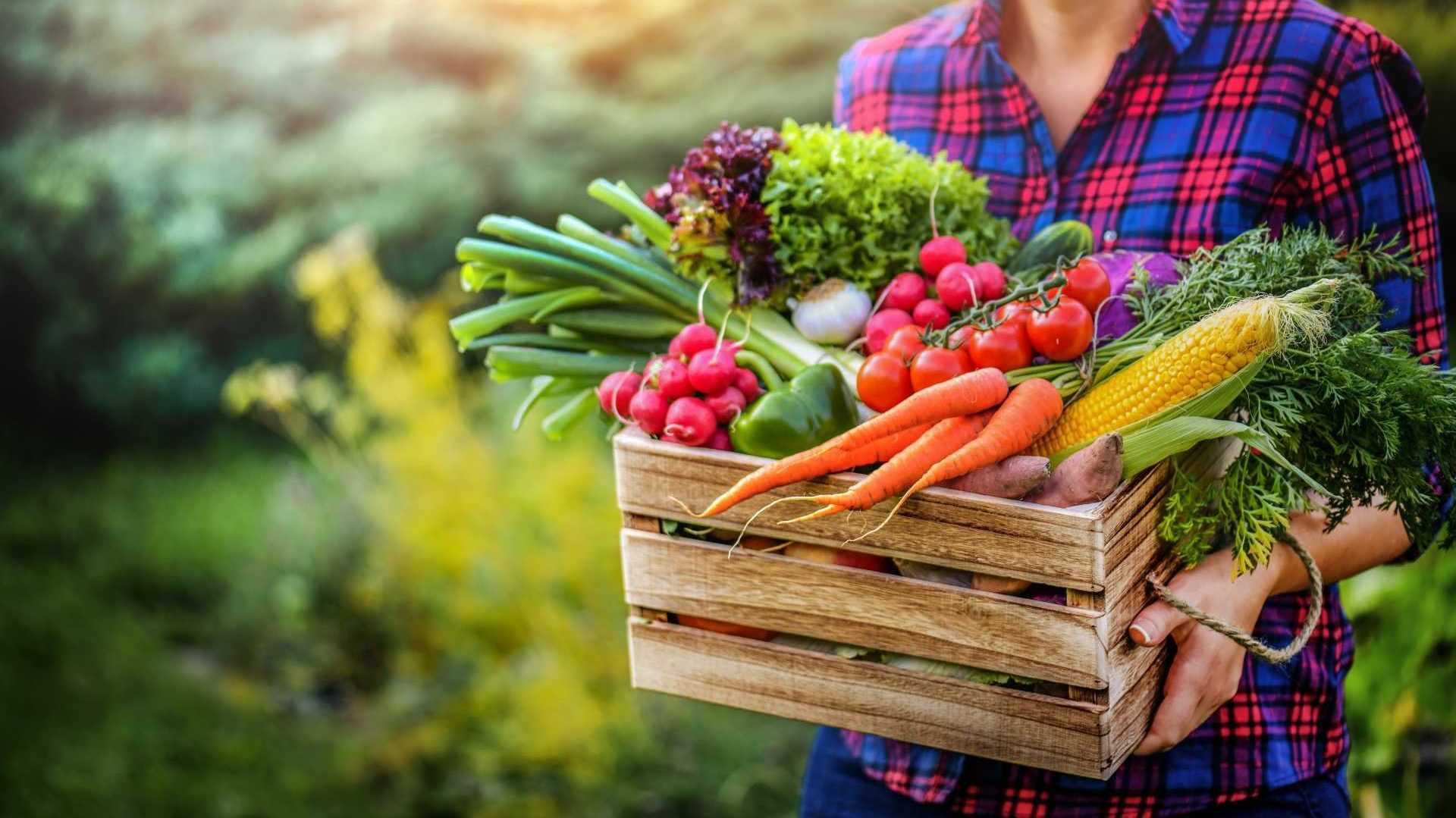 Obst und Gemüse in einer Kiste