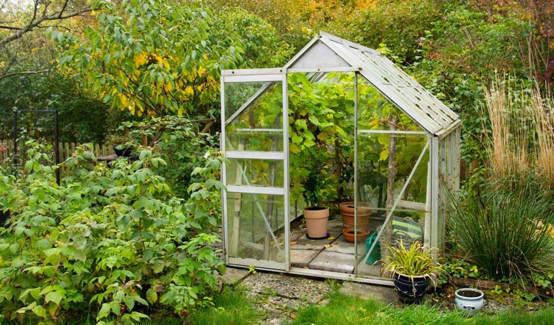 Gewächshaus Klein – Ratgeber Gewächshäuser für Garten, Terrasse und Balkon