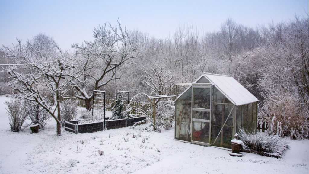 Gewächshaus mit Winterlandschaft im Hintergrund