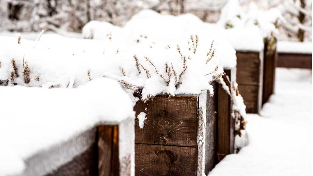 Schnee im Hochbeet