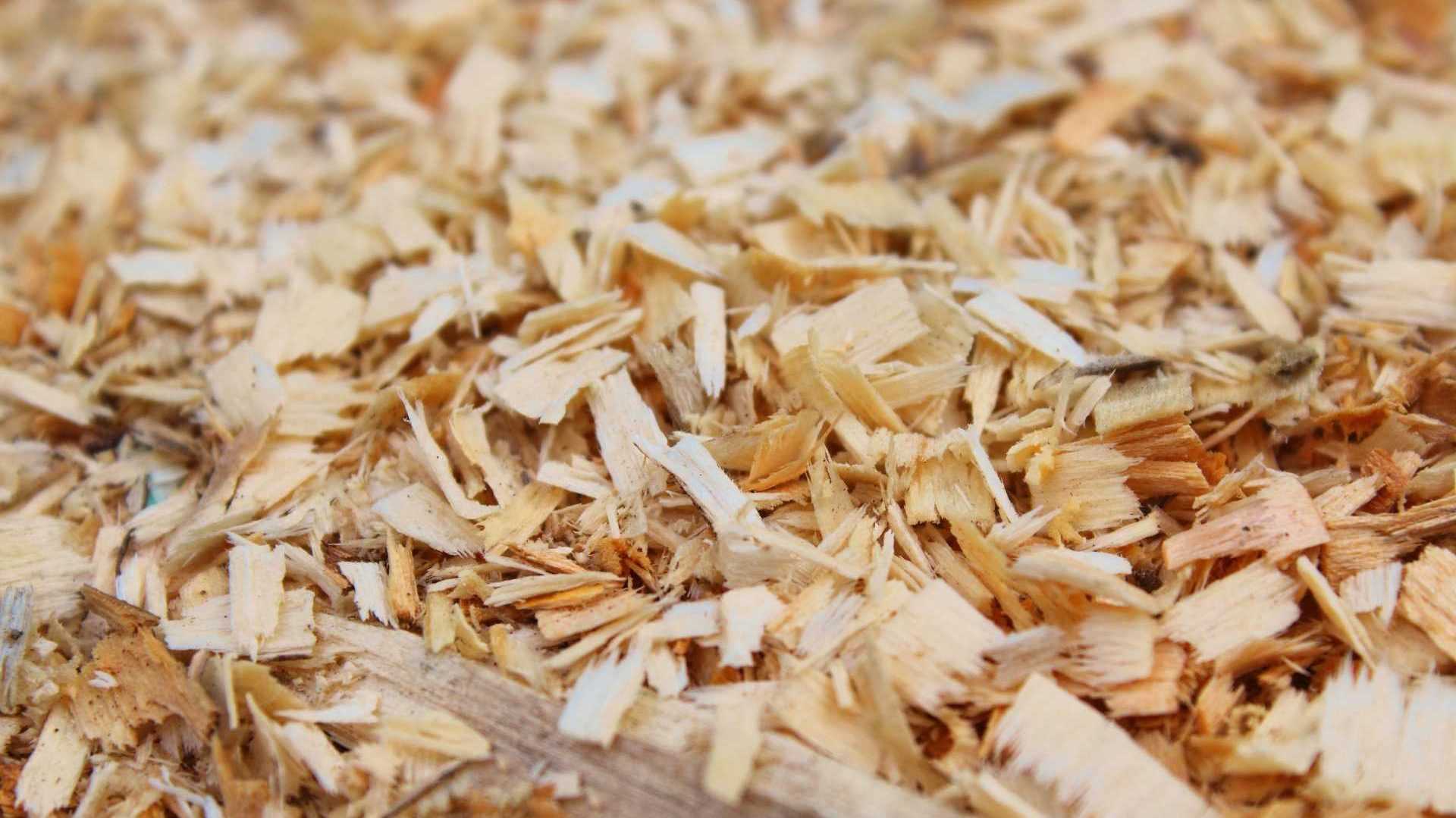 Mit Holzspänen düngen