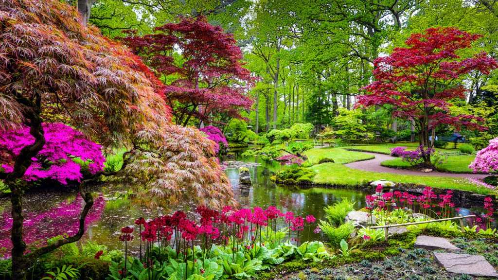 Japanischer Garten.