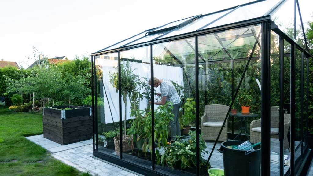 Dame im Gewächshaus im Garten