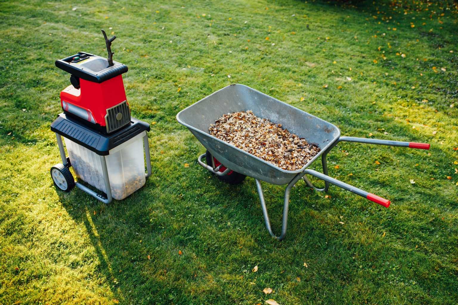 3 Mulcher im Produktvergleich Nässeregulation des Bodens