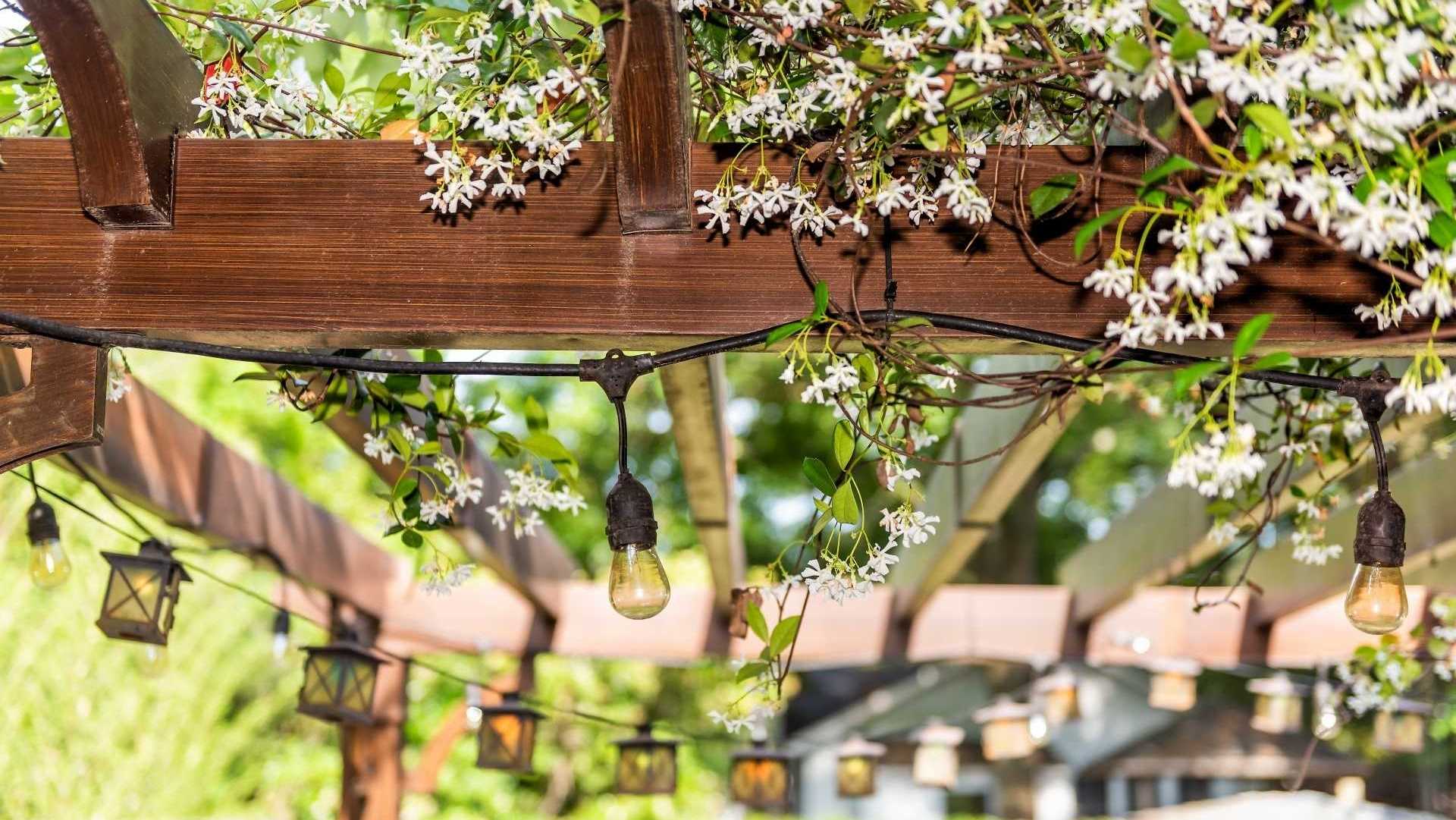 Blüten überdachen die Pergola. Stimmungslichter verleihen der Pergola einen romantischen und natürlichen Look.