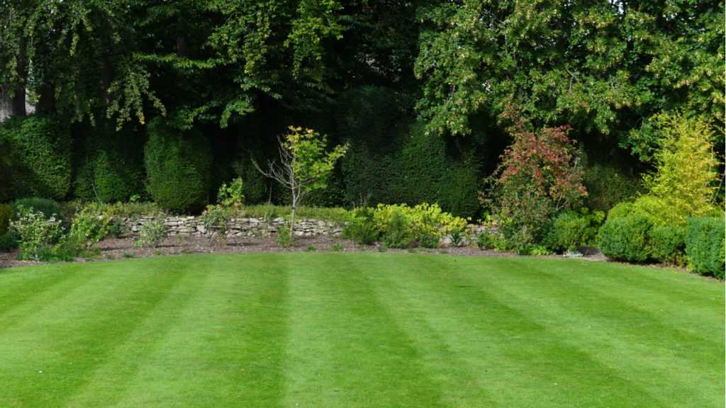 Garten mit frisch gemähtem Rasen