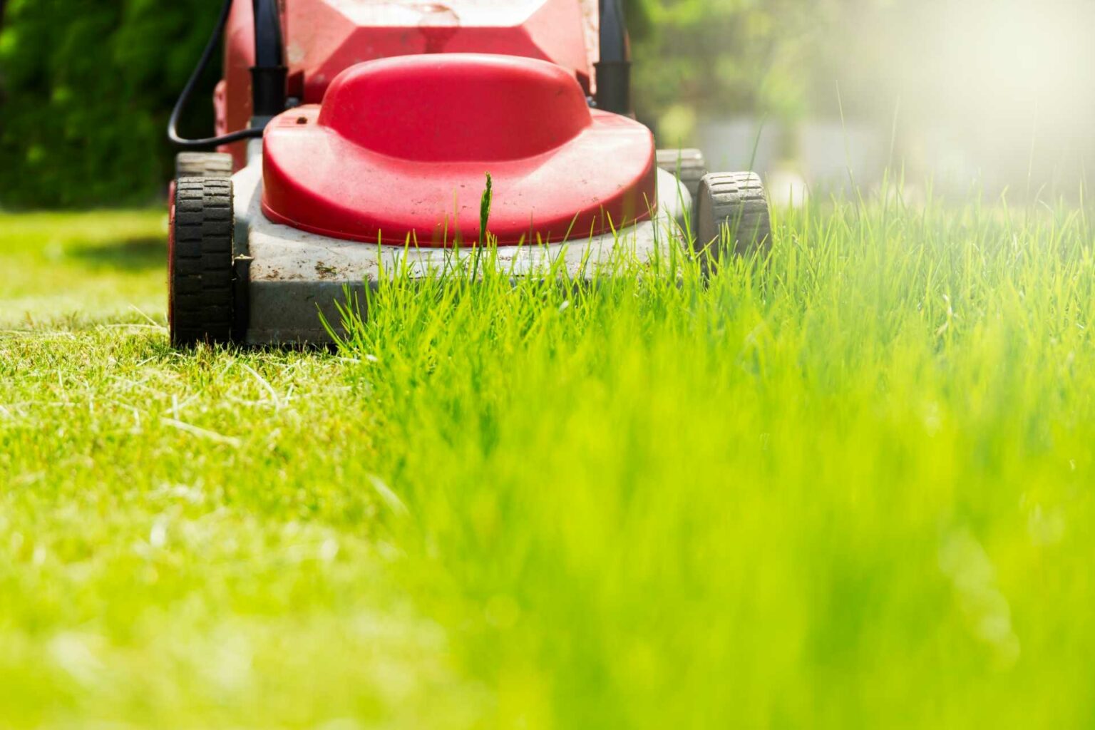 Wann Rasen mähen: Uhrzeit und Zeitpunkte - Haus & Garten Profi
