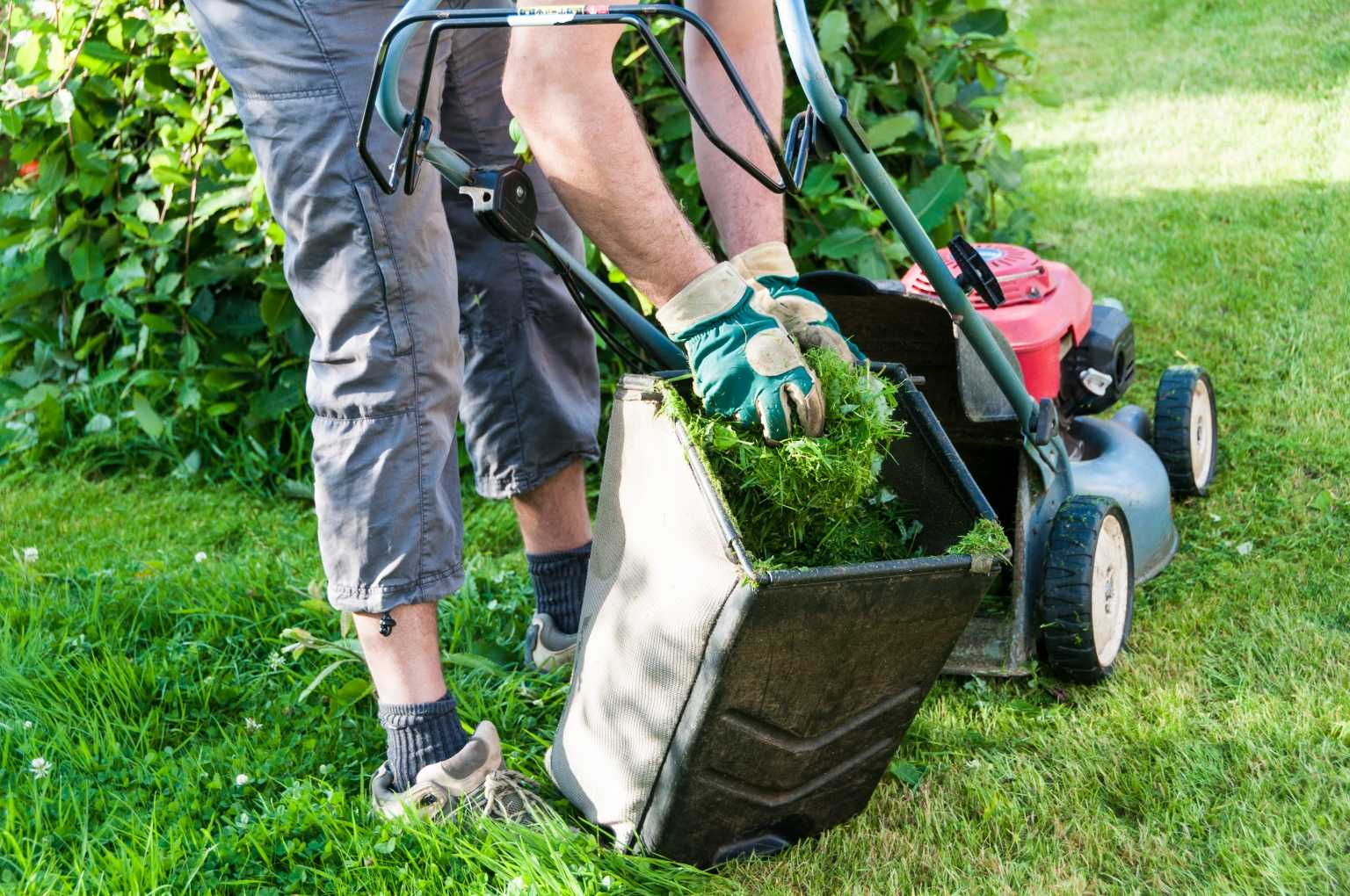 Rasenpflege im Frühjahr – Das ist zu beachten - Haus & Garten Profi