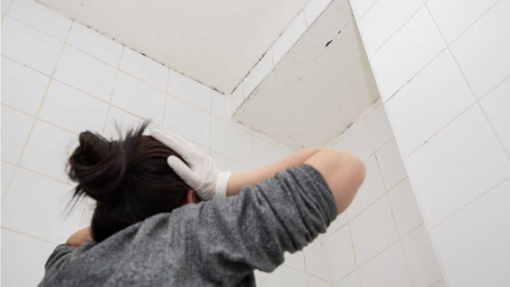Frau die Schimmel an der Wand anschaut
