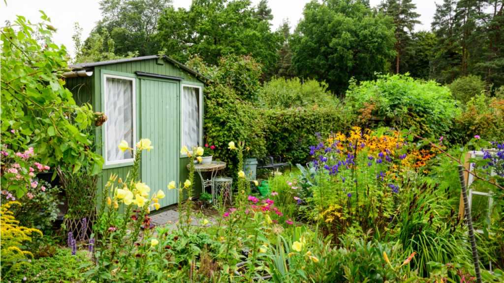 Schrebergarten mit kleinem Holzhaus und vielen Pflanzen
