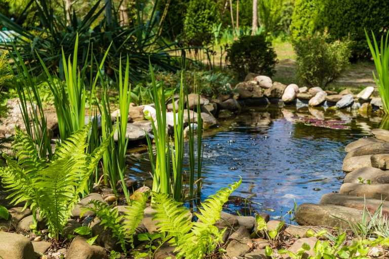 3 Wasserbecken GartenModelle für ein perfektes