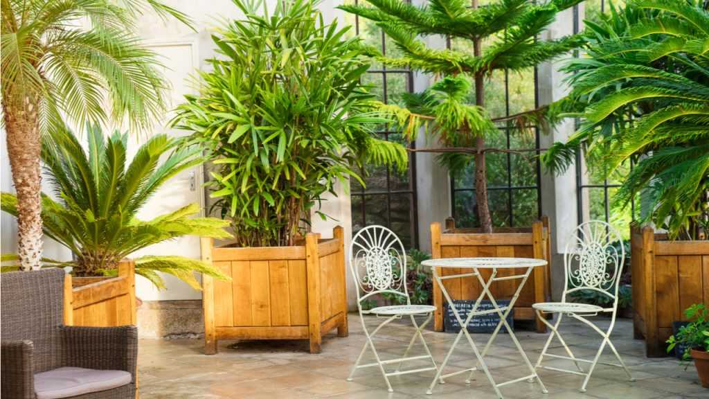 Im Wintergarten können die unterschiedlichsten Pflanzen eingesetzt werden.