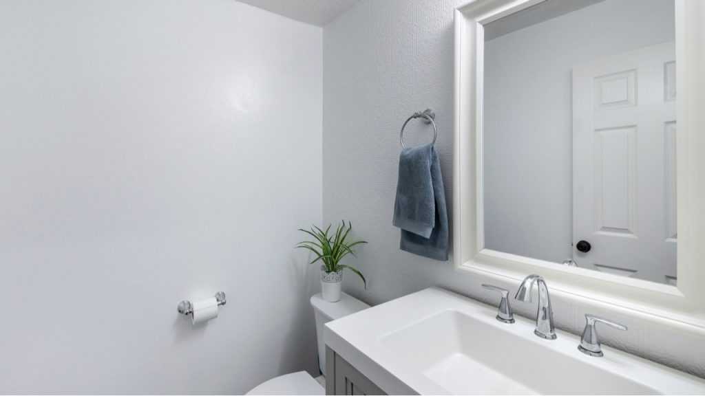 Topfpflanze im Badezimmer.