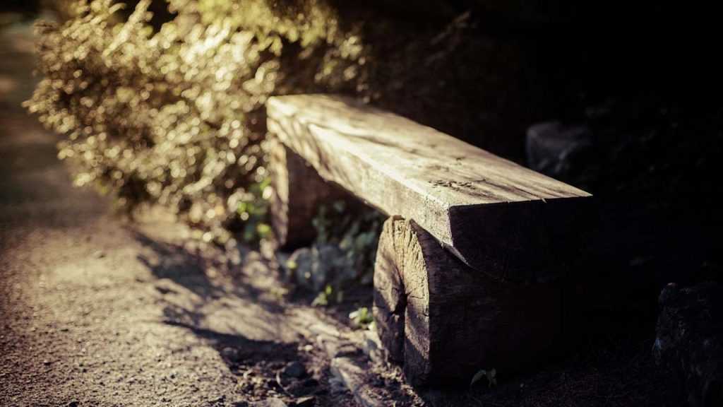 Holzbank im Schatten