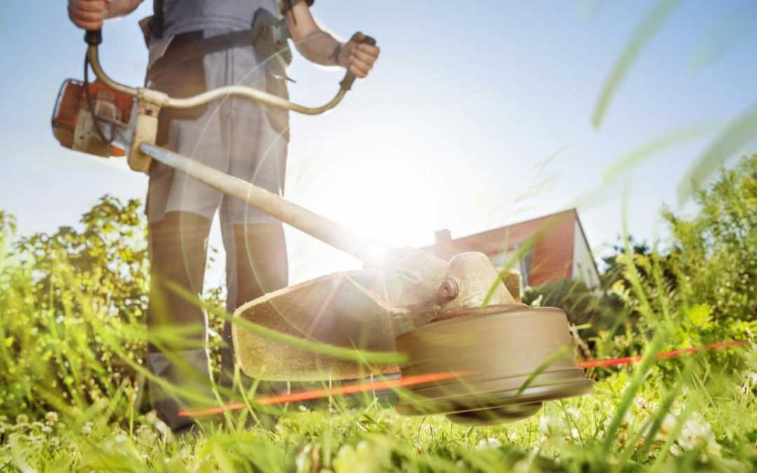 Die 3 besten Akku-Grasscheren im Vergleich – finden Sie die perfekte Grasschere für Ihren Garten – Unser Vergleich und Ratgeber