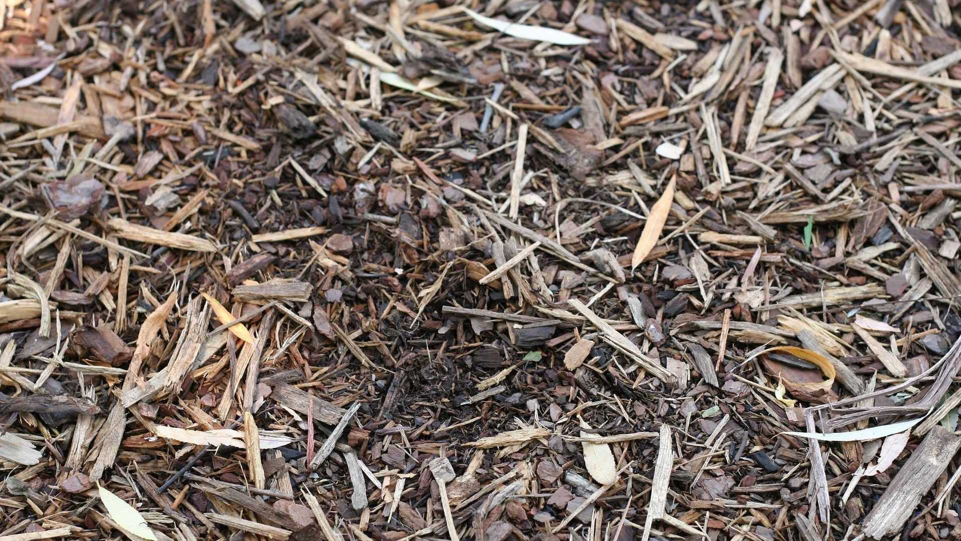 Boden mit Mulchschicht aus Zweigen und Holz.