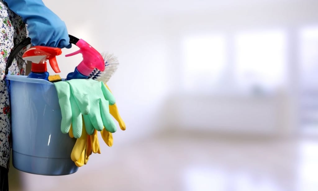Motten Im Haus Naturlich Bekampfen Mit Diesen Einfachen Tricks