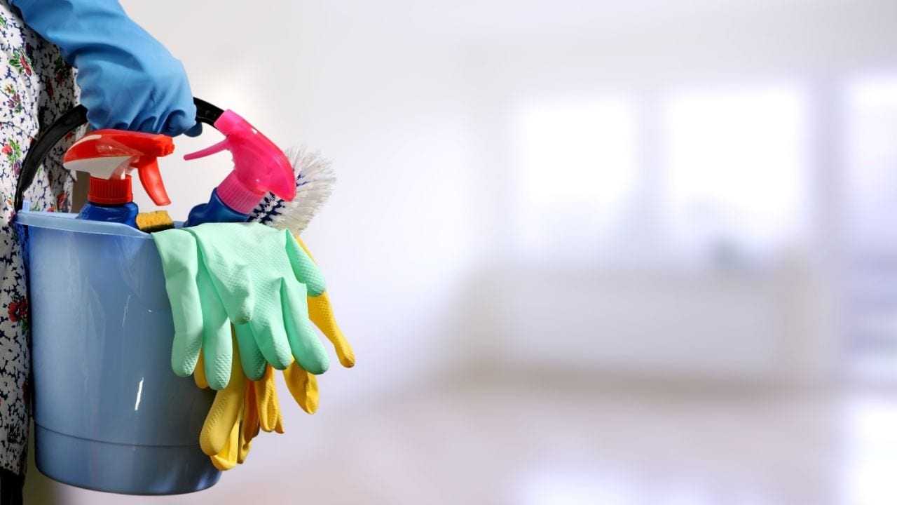 Motten im Haus bekämpfen mit gründlicher Reinigung.