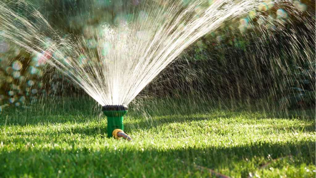 Sprinkleranlage wässert Rasen.